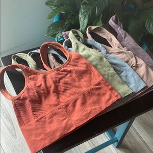 Set of Ribbed Crop Tops in Assorted Colors